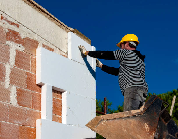 Best Types of Insulation in Lake Lotawana, MO