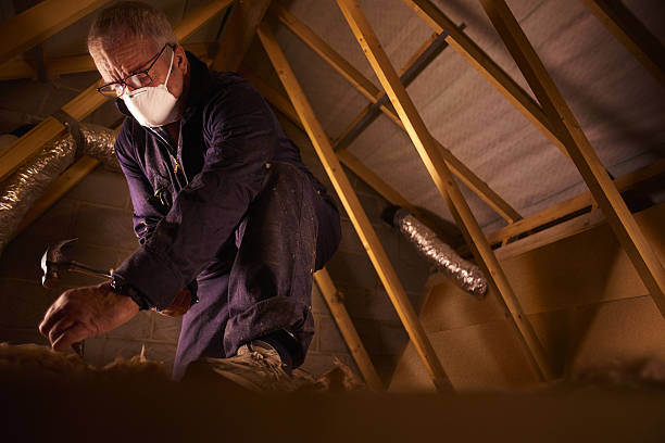 Best Residential Insulation in Lake Lotawana, MO